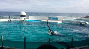 水族館♪