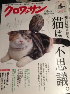 虎徹!!