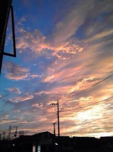 ☆早朝の散歩☆